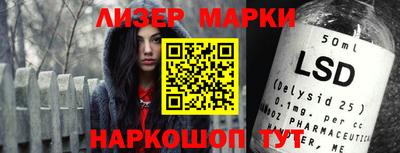СК Новодвинск