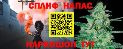 СК Новодвинск