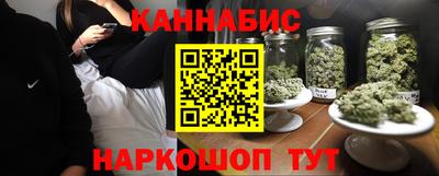 индика Новозыбков