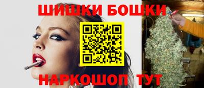 индика Новозыбков