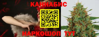 СК Новодвинск