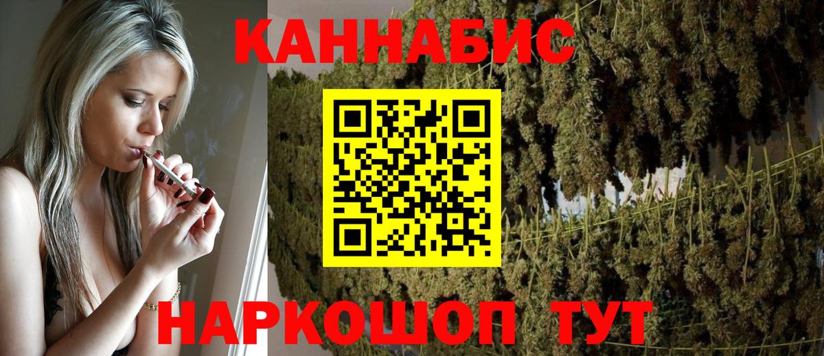 Конопля сатива Тихвин